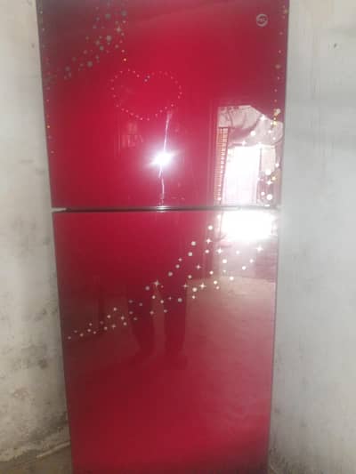 14CFT Glass Door