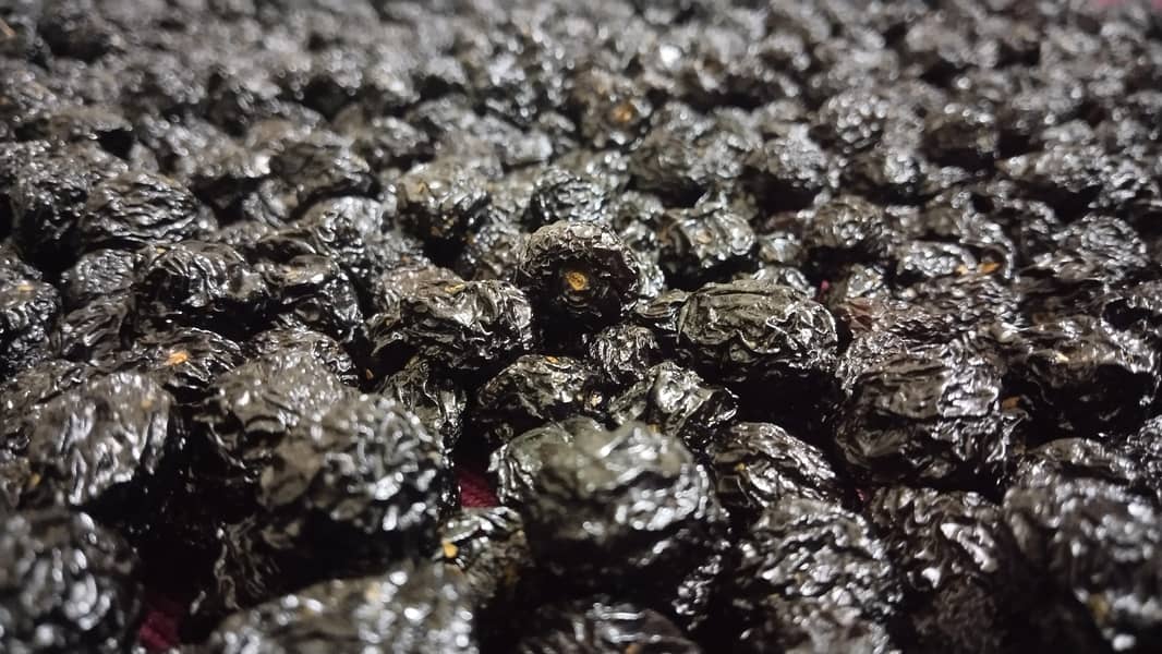 Dry Fruit 1