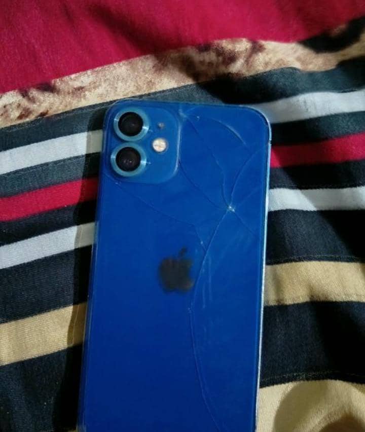 Apple iPhone 12 mini 1