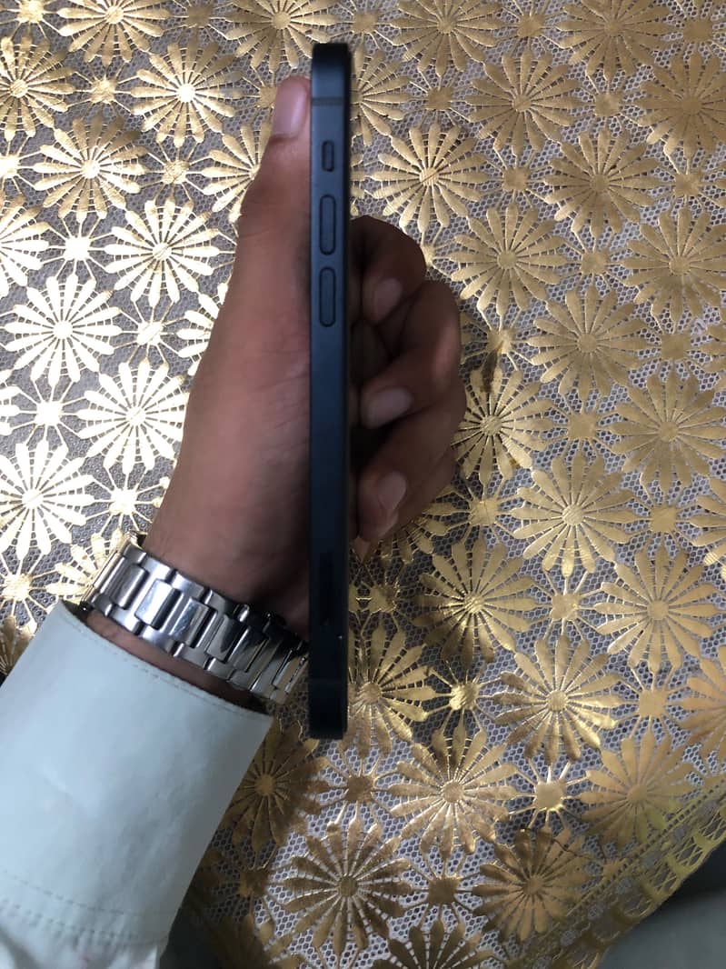 Apple iPhone 12 1