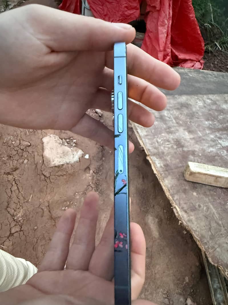 Apple iPhone 13 Pro Max 2