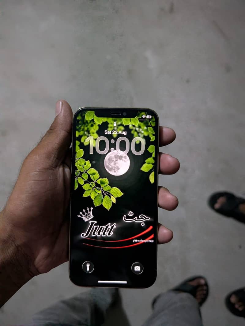 Apple iPhone 12pro 0