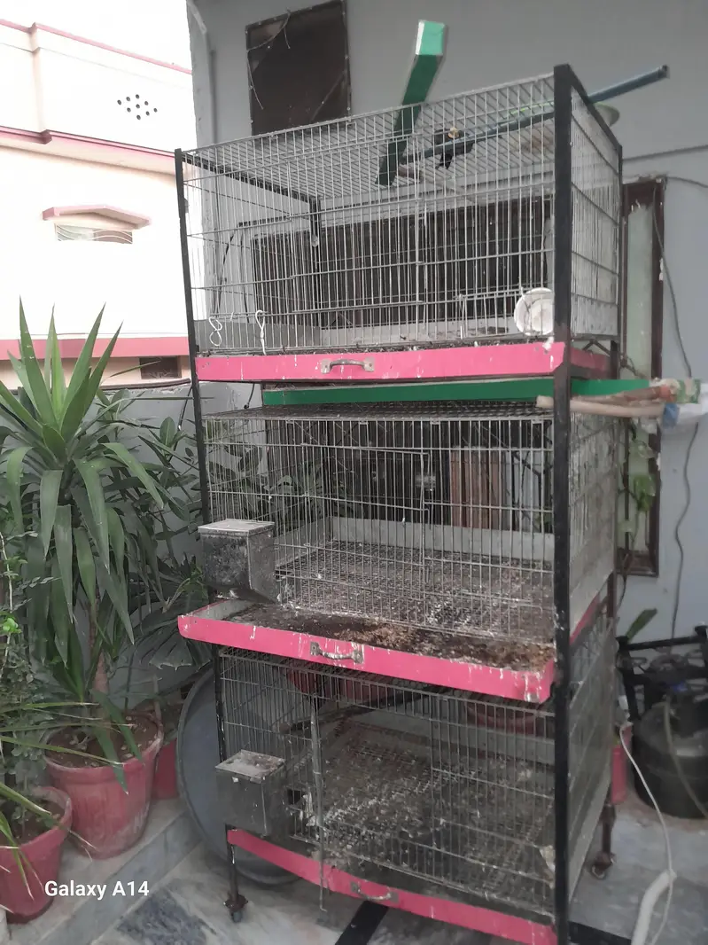 cage for sale (pinjra) — photo 2