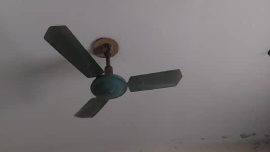 fan for sale