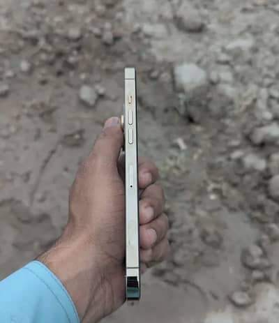 Apple iPhone 12 Pro Max