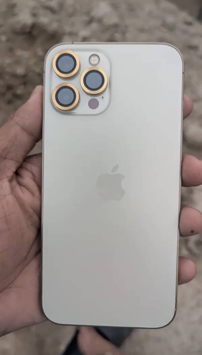 Apple iPhone 12 Pro Max 1