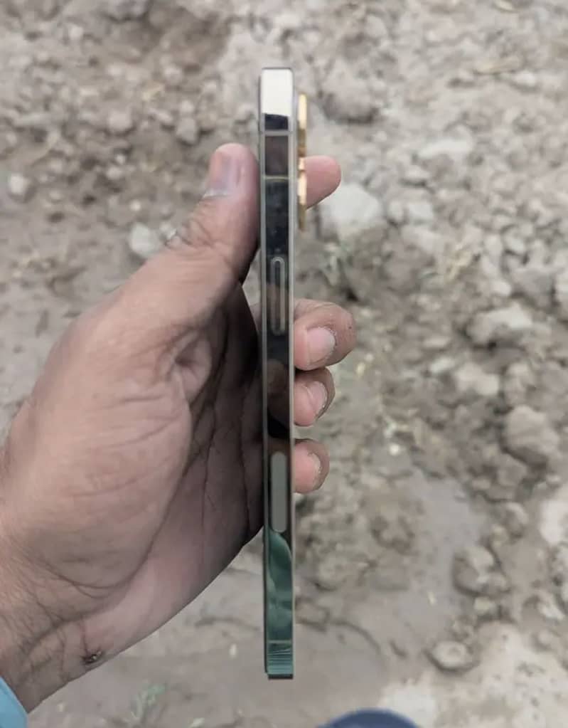 Apple iPhone 12 Pro Max 2