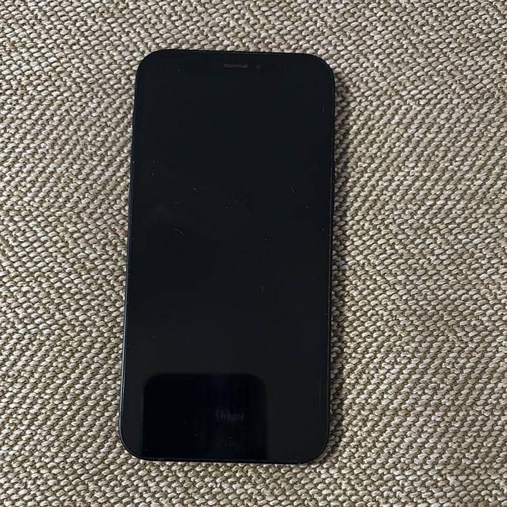 Apple iPhone 12 2