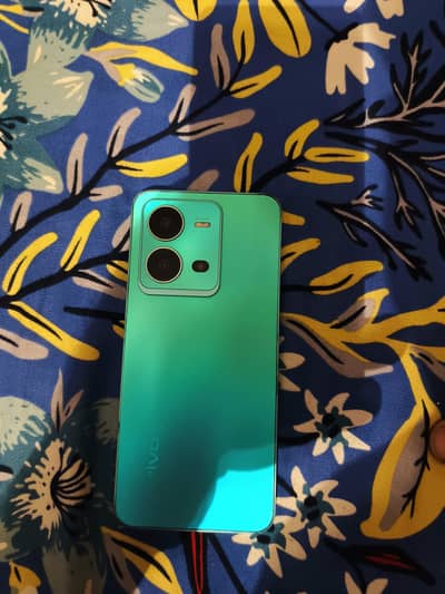 vivo v25