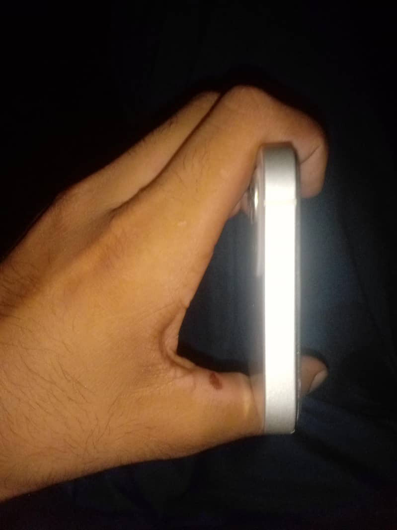 Apple iPhone 12 1