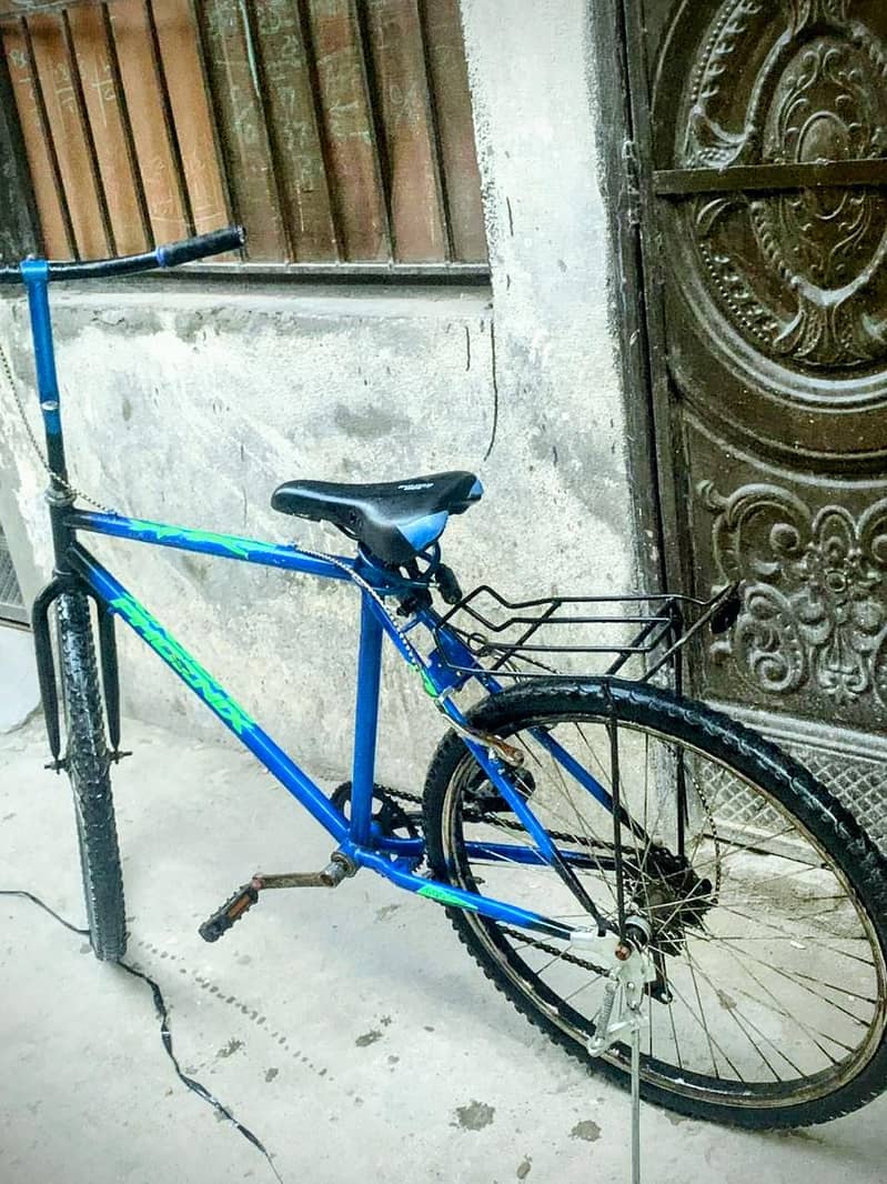phonex cycle 1