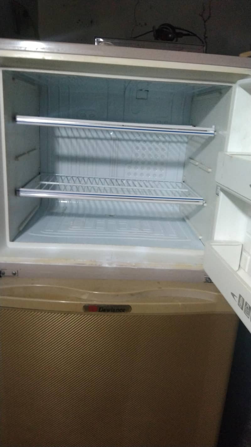 frige 1