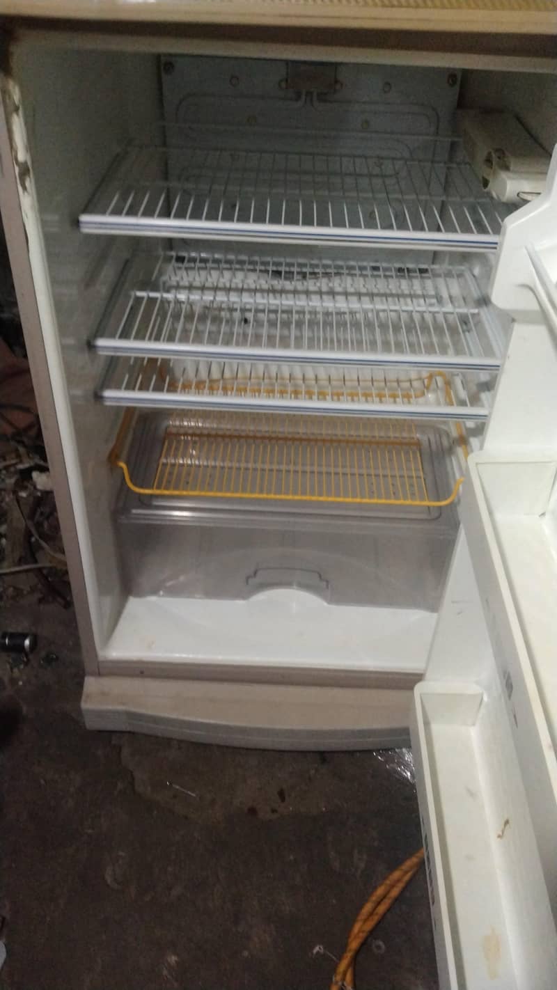 frige 2