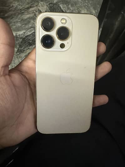 Apple iPhone 13 Pro