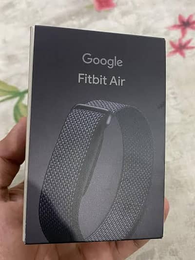 Google Fitbit Air