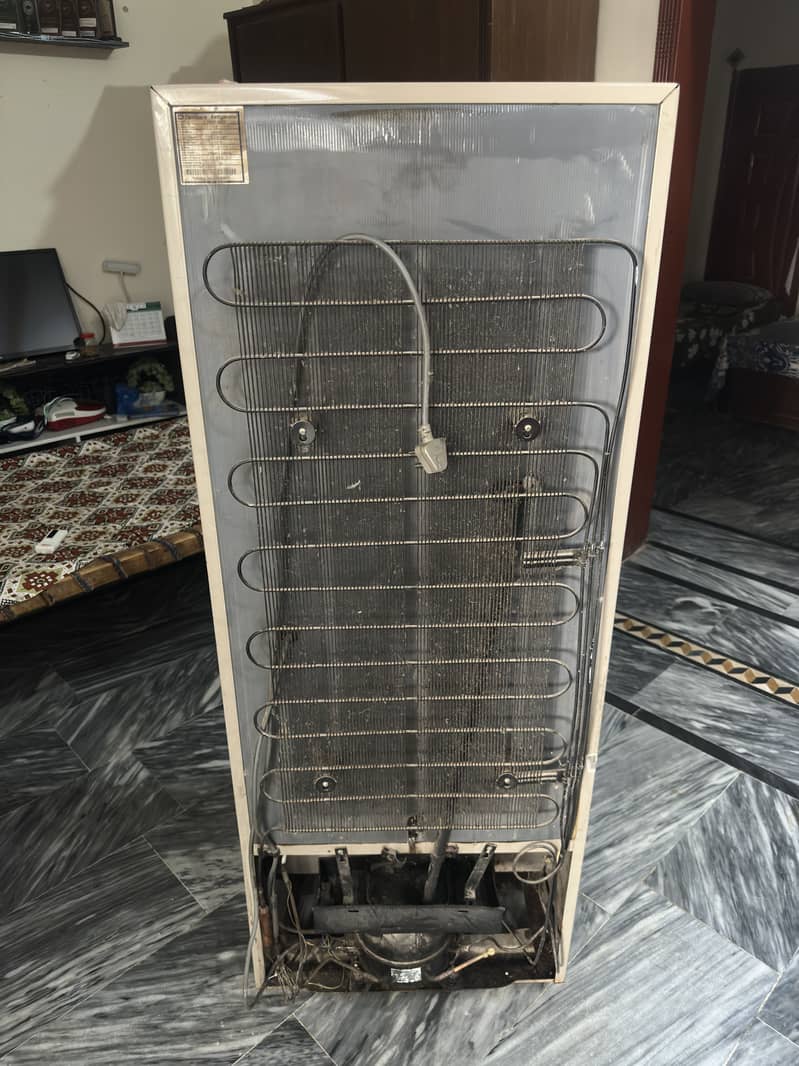 Medium Refrigerator 1