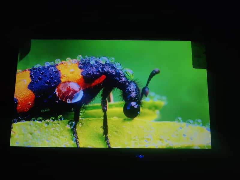 Android LED 32 inch 5