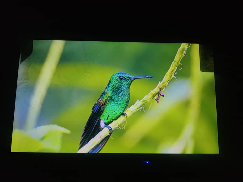 Android LED 32 inch 6