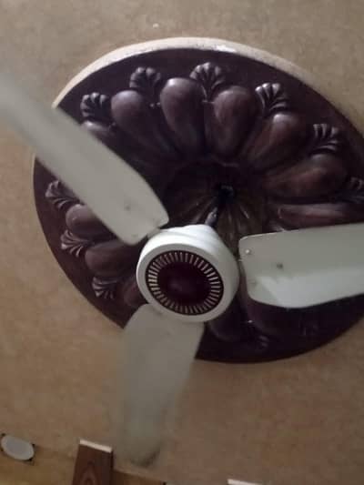 fan in use