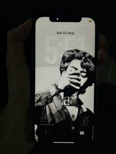 Apple iPhone 12