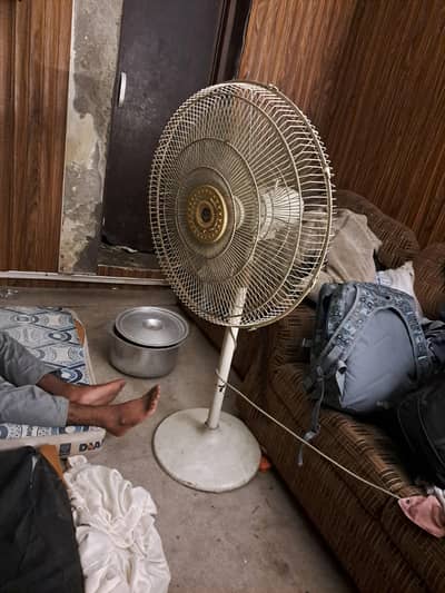 Pedestal Fan
