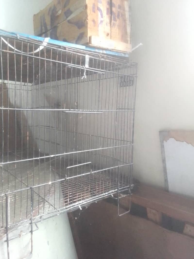 Cages 0