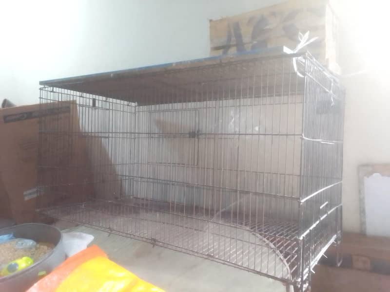 Cages 1