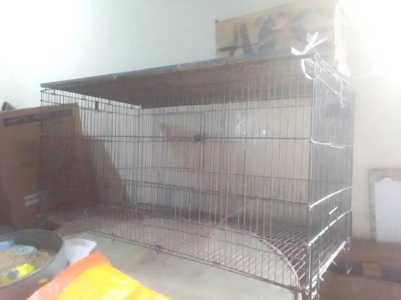 Cages — photo 2