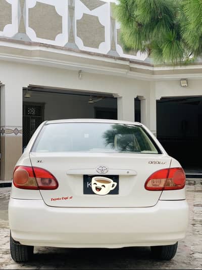 +92 300 5219624