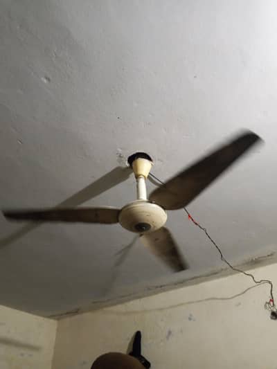 one adad pak fan urgent sale need cash