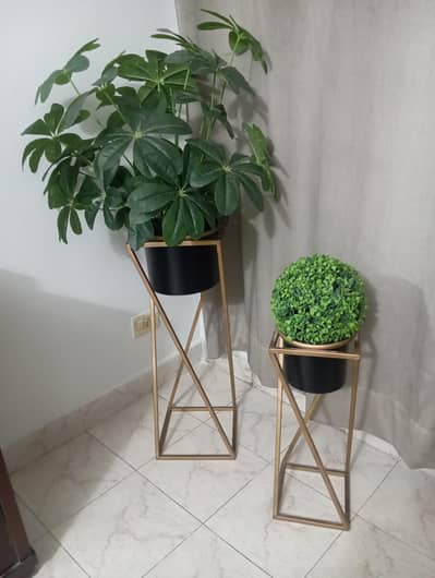 planters pair  with plants