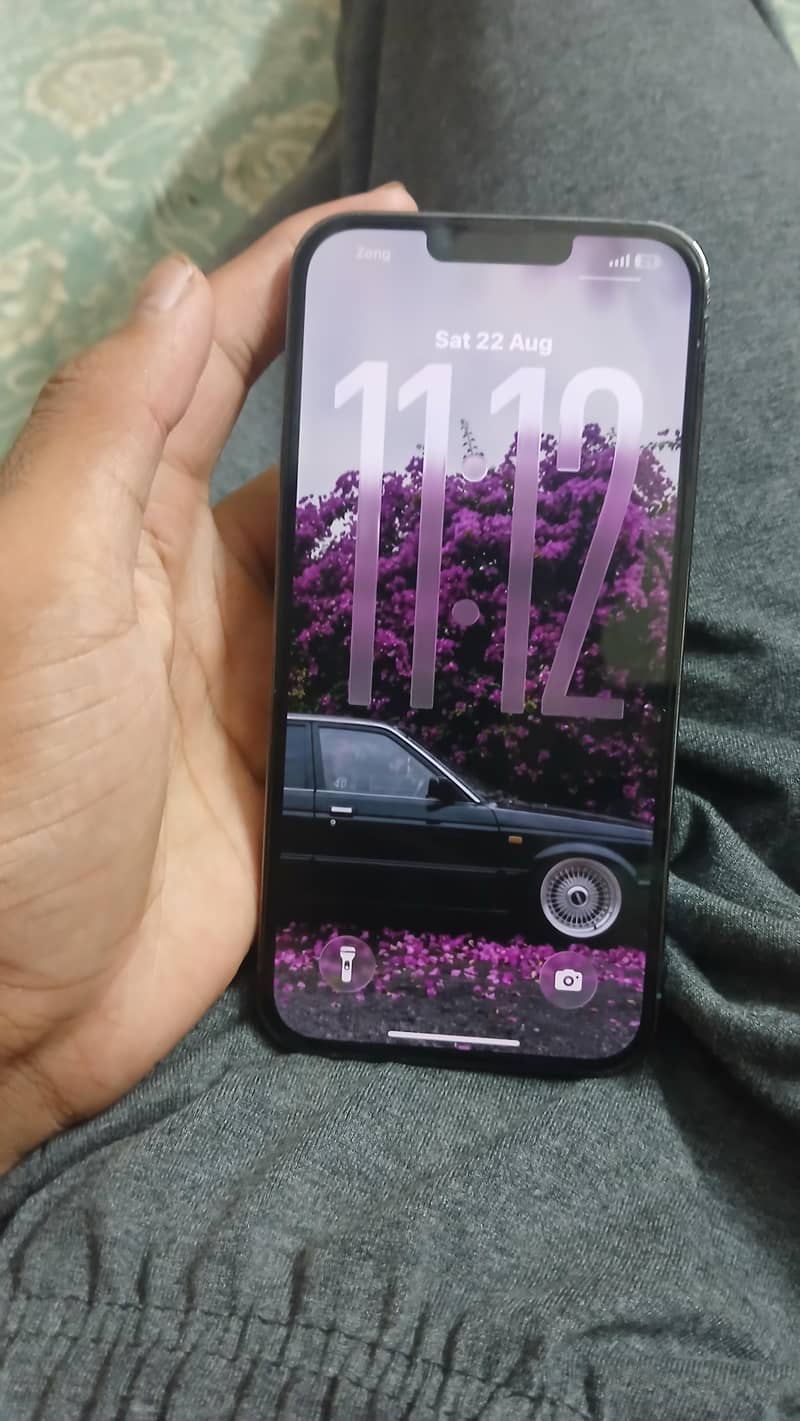 Apple iPhone 13 Pro Max 1