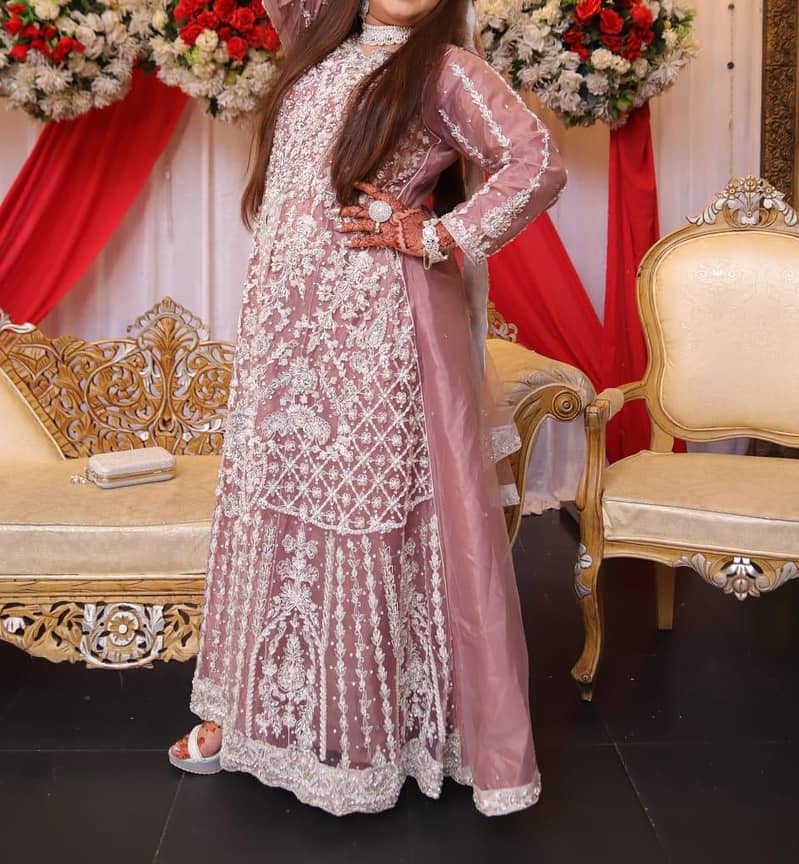 Walima maxi 2