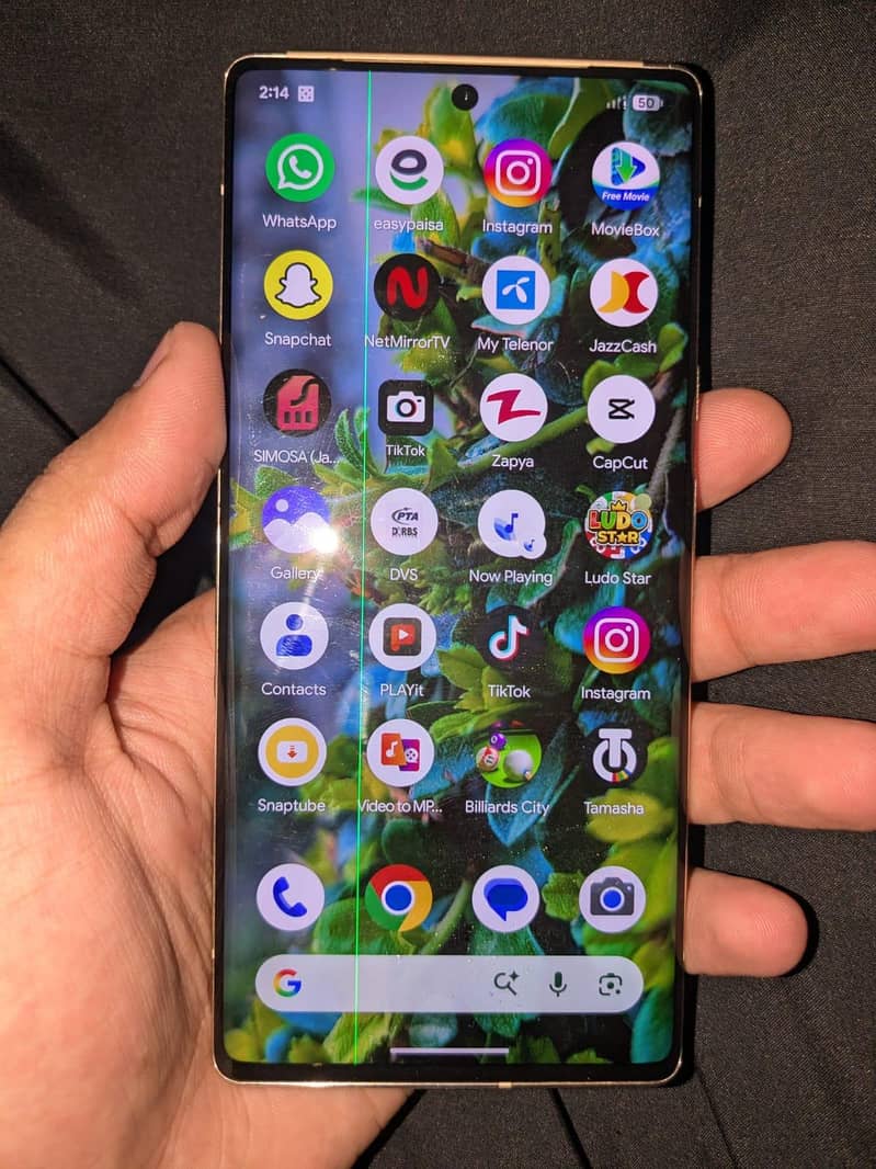 Google Pixel 6 Pro 1