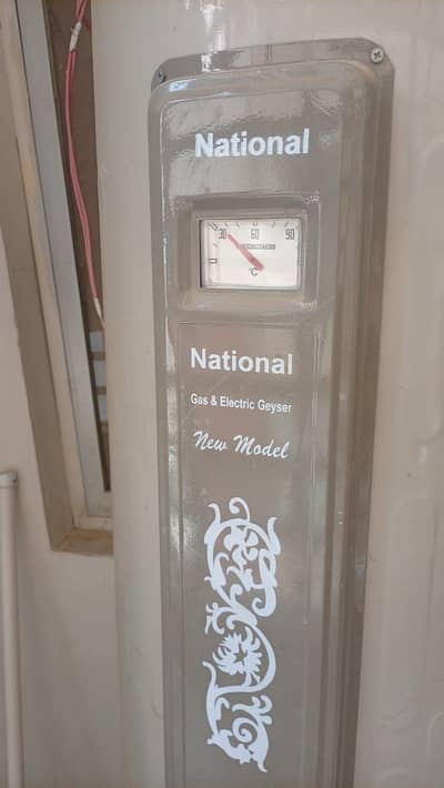 national brand geyser