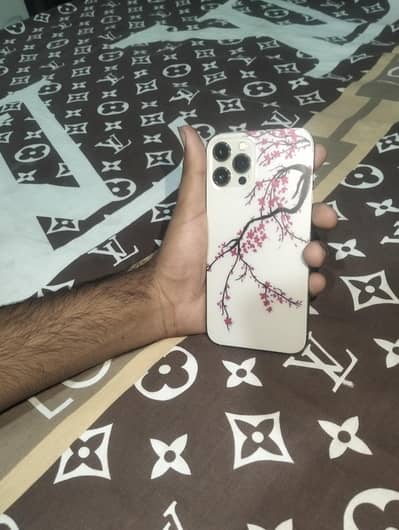 Apple iPhone 12 Pro Max