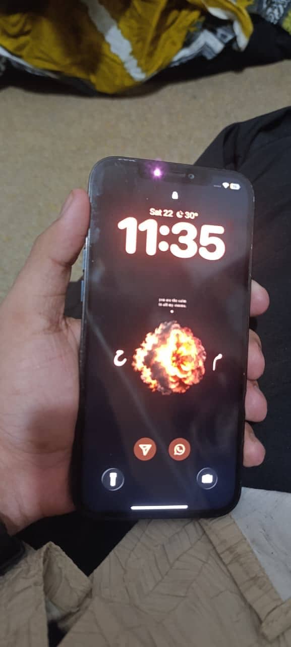 Apple iPhone 12 Pro Max 2