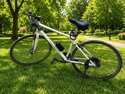 Hybrid Cycle