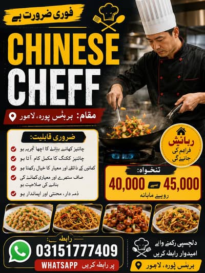 chinese scheff ki zarorat hy . . . .
