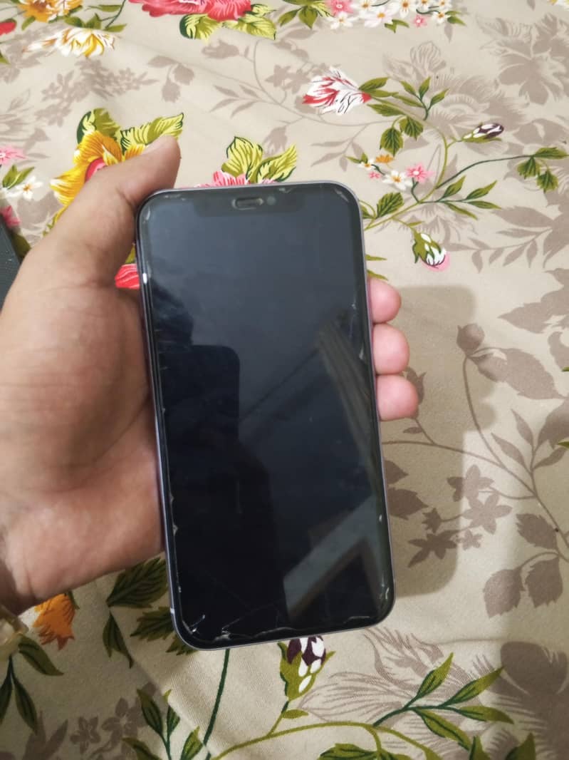 Apple iPhone 11 1