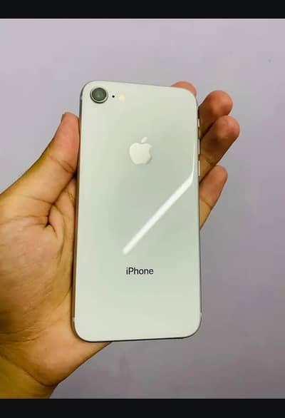 Apple iPhone 8.10/10 Conditon