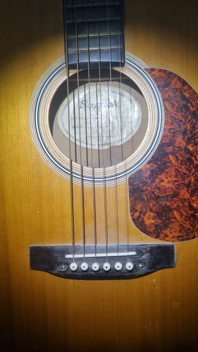Guitar