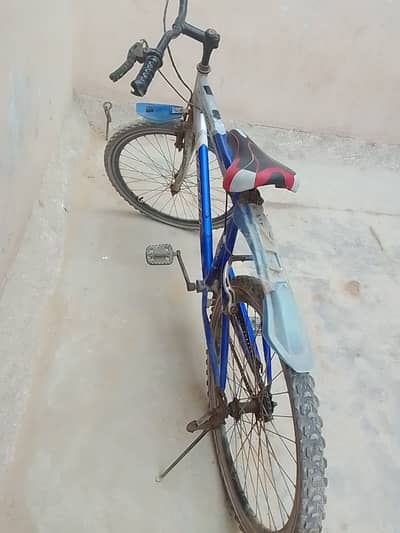 Bicycle for sale