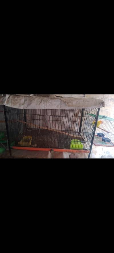3cages for sale ha