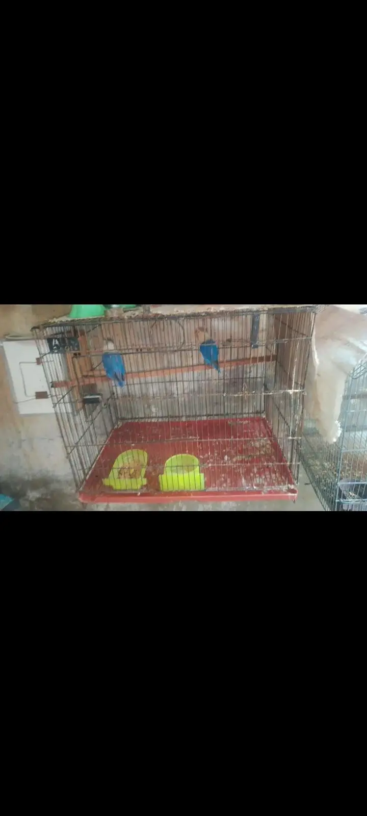 3cages for sale ha — photo 2