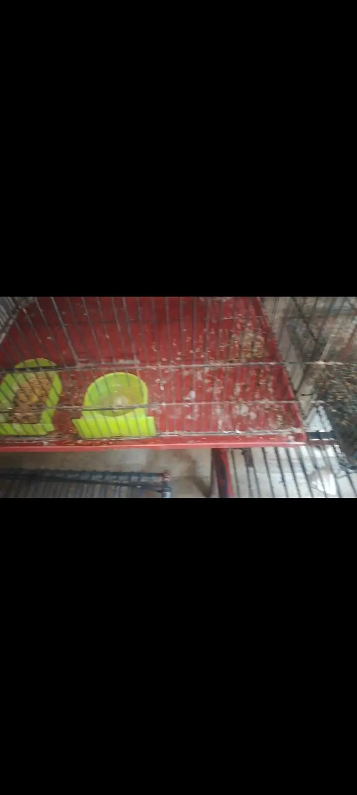 3cages for sale ha — photo 3