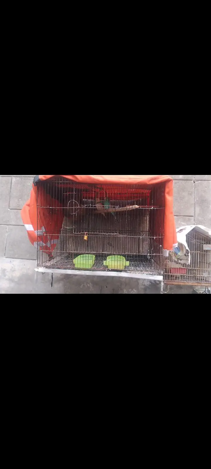 3cages for sale ha — photo 5