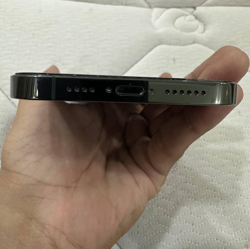 Apple iPhone 13 Pro Max 1
