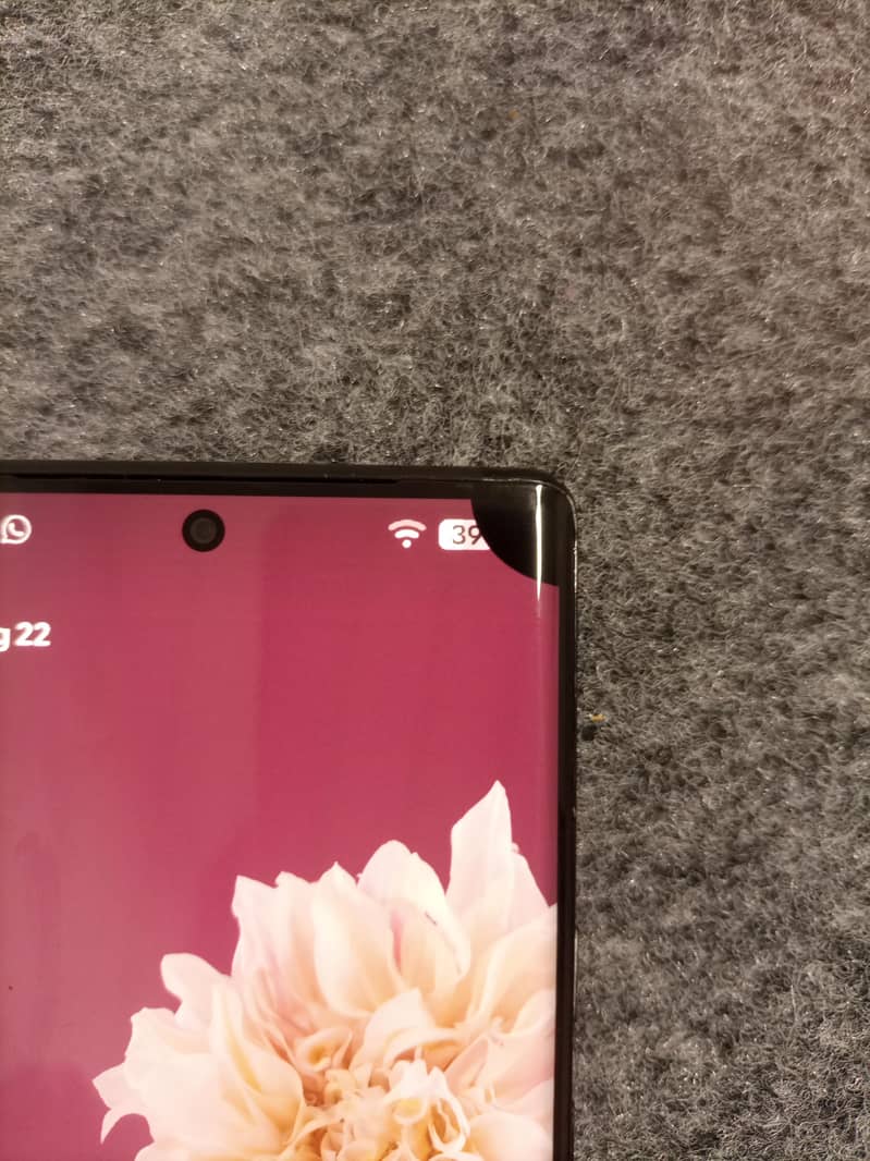 Google Pixel 6 Pro Panel 1