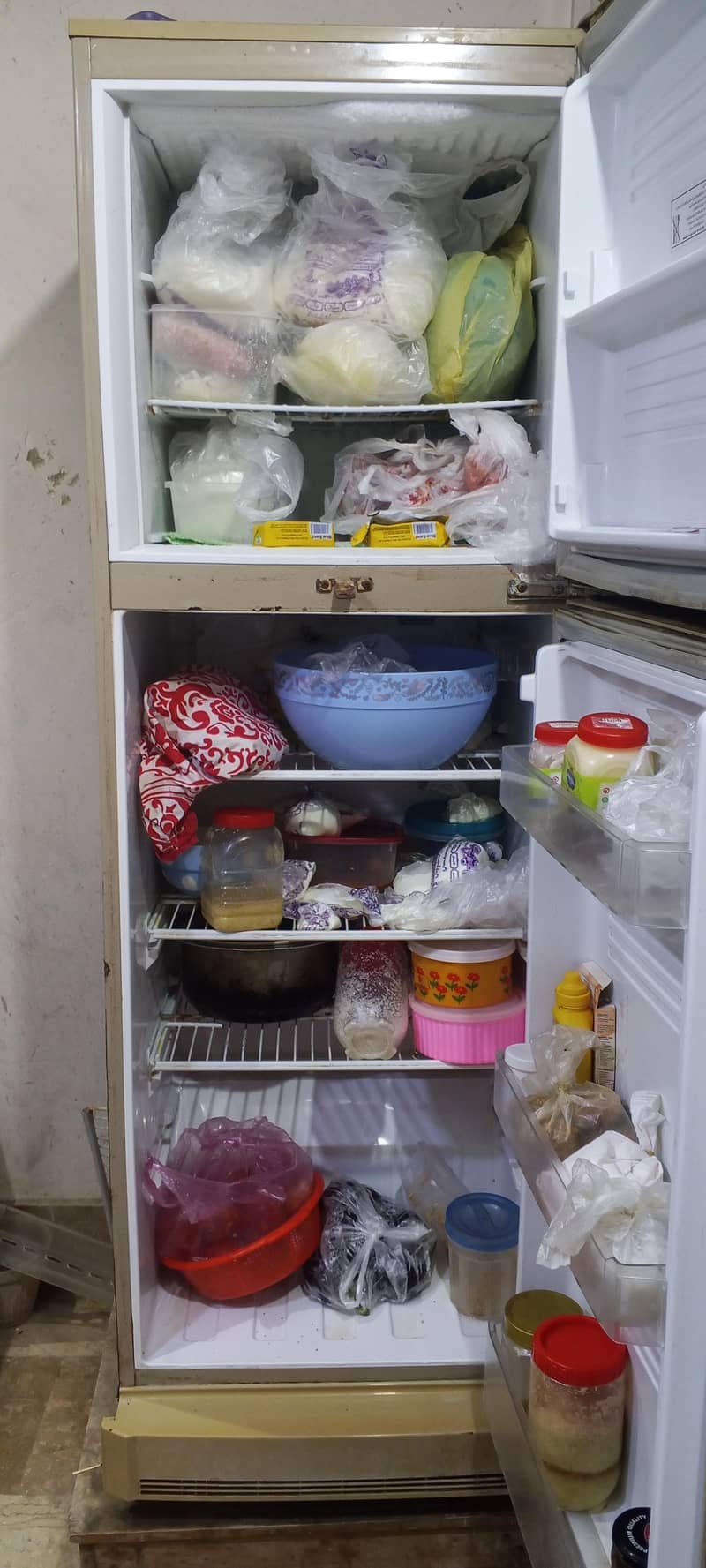 fridge 1
